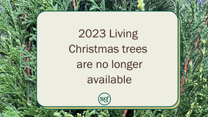 OKC Living Holiday Trees