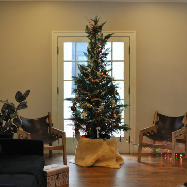 2023 Living Christmas Tree Rental - Traditional
